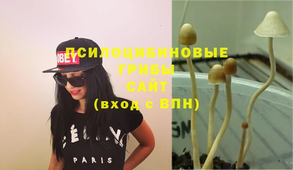 прущие крисы Лабытнанги