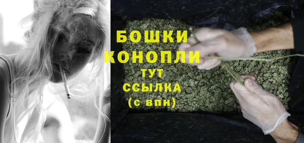 мет Лагань